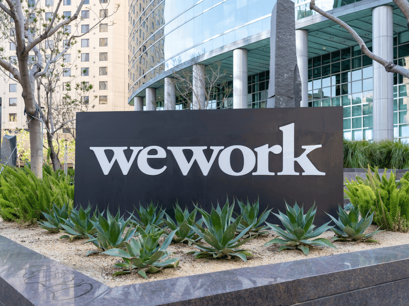 Cover image for WeWork India Q2 Profit Jumps 219% To ₹20 Cr, Revenue Rises 34% YoY