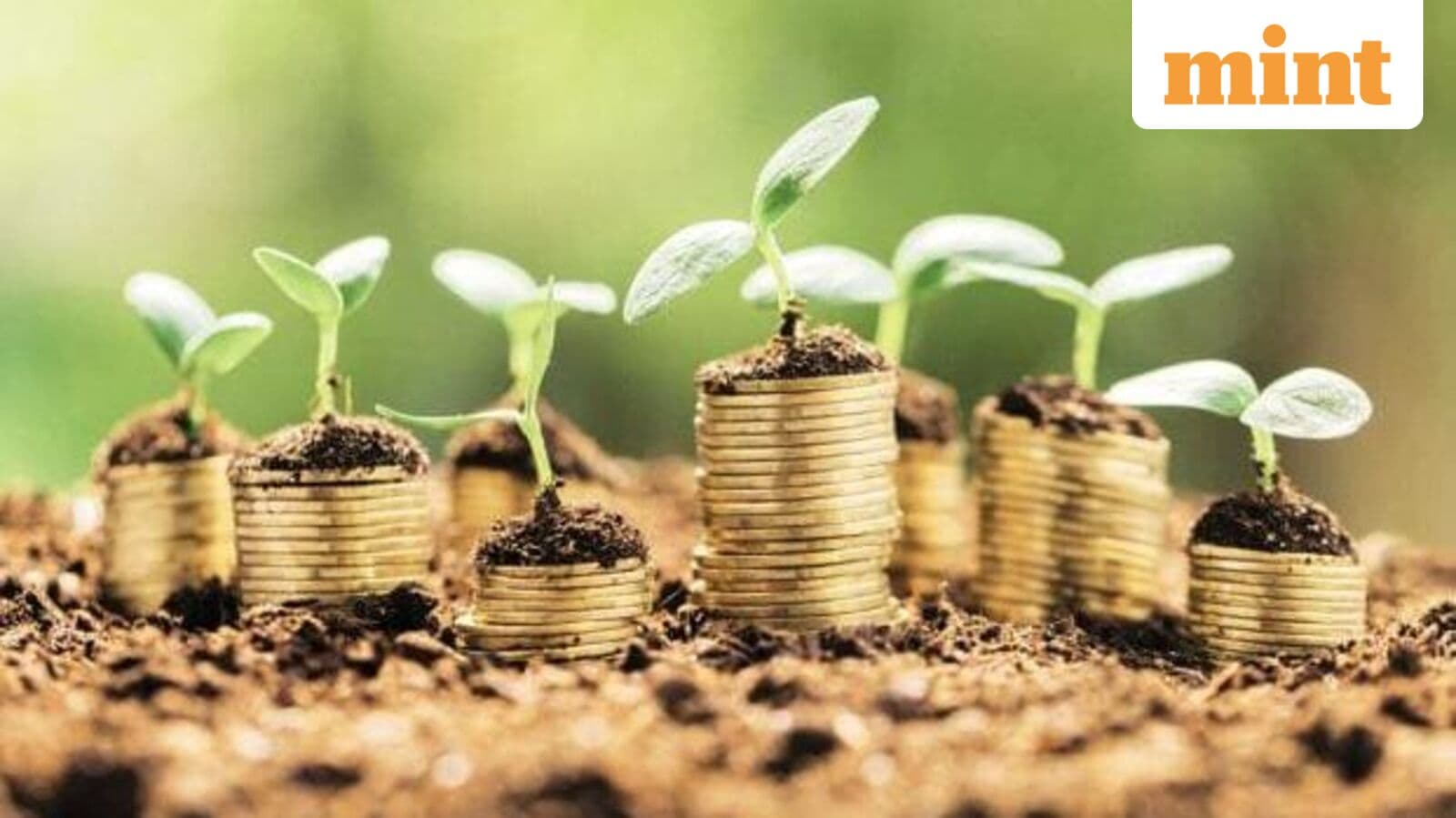 Cover image for Food services platform Focus Prism raises ₹145 crore from OAKS, buys Chennai-based catering firm FoodExo