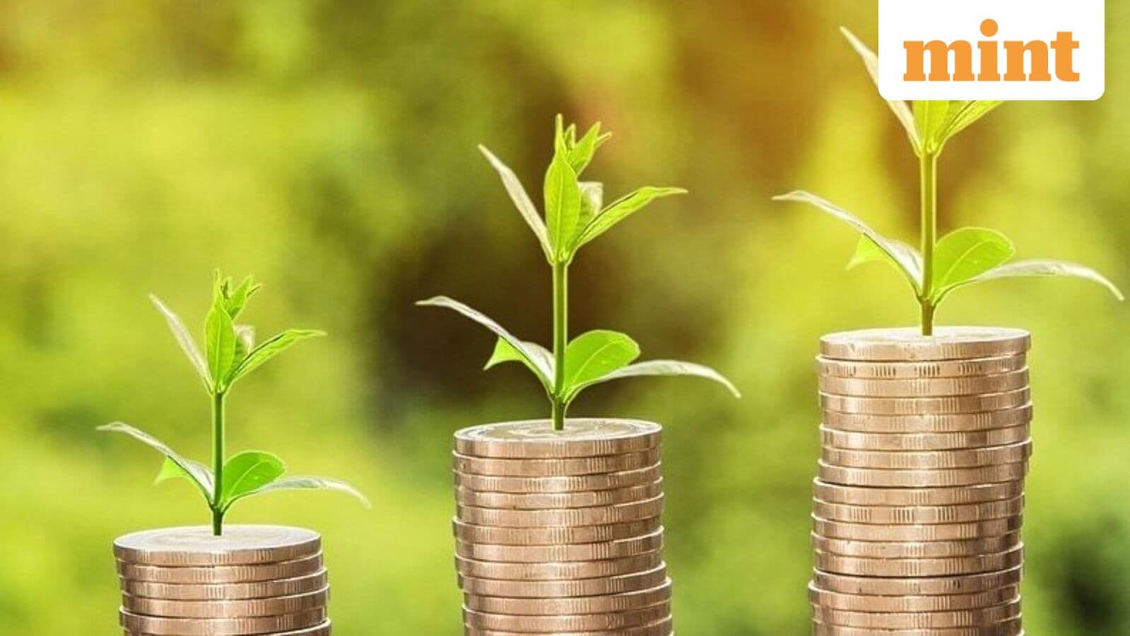 Cover image for Advent International raises $30 billion across two new funds, beats flagship target